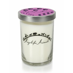 12oz Soy Blend Jar Candle - Pinkberry