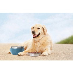 KURGO WANDER PAIL DOG BOWL