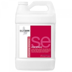 stay (clean)  -  1 Gallon