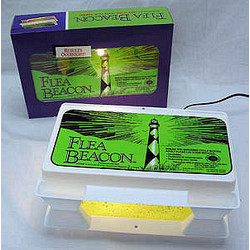 Flea Beacon
