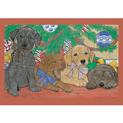 Labradors under the Tree