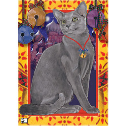 Cats - Russian Blue