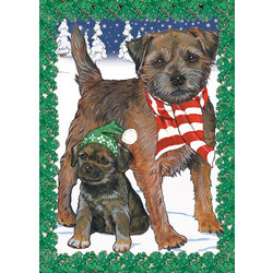 Border Terrier