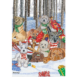 A Sleighride Wonderland