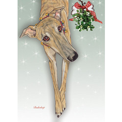 Greyhound Under the Mistletoe