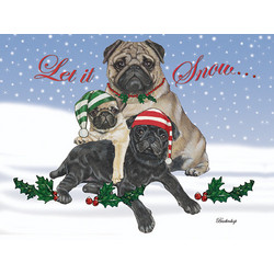 Pugs in Snow