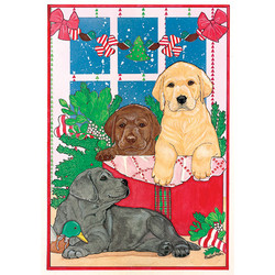 Labrador Trio