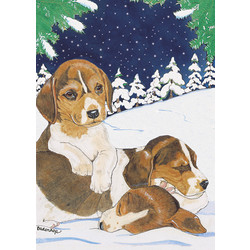 Beagle Pups