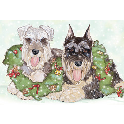 Miniature Schnauzers