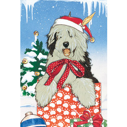 English Sheepdog