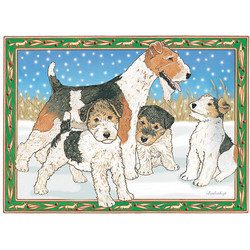 Fox Terrier Wire