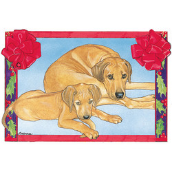 Rhodesian Ridgeback