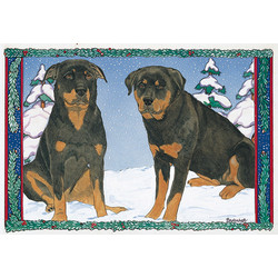 Rottweiler Duo