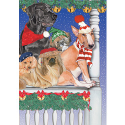 Dog Bells