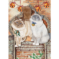 Birmans