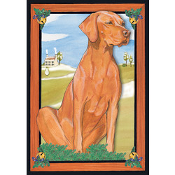 Vizsla