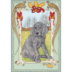 Weimaraner