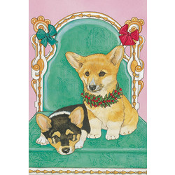 Corgis Pembroke Welsh