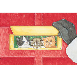 Cat Mail