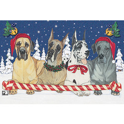 Great Danes