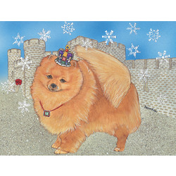 Pomeranian