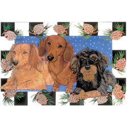 Dachshund Trio
