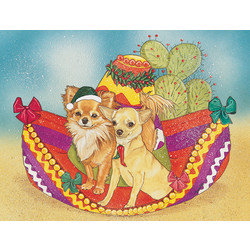 Chihuahua - Sombrero