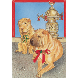 Shar-pei