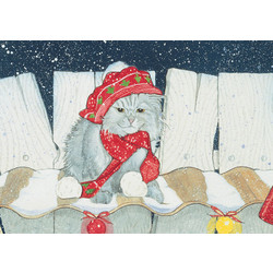 Cat - Silver