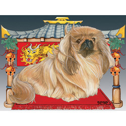 Pekingese