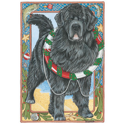Newfoundland Tidings