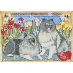 Keeshond