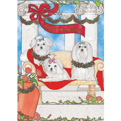 Maltese Le Principesse