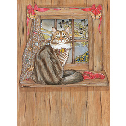 Cats-Maine Coon