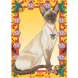 Cats-Siamese