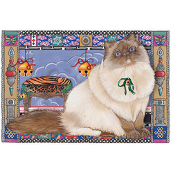 Cats-Himalayan