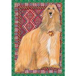 Afghan