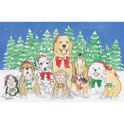 Pet Menorah