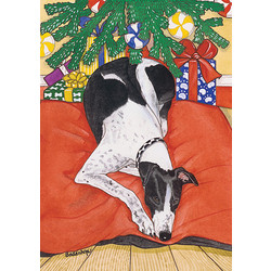 Greyhound Black & White