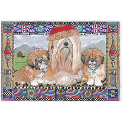 Lhasa Apso's in Tibet