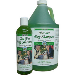 KENIC Tea Tree Shampoo