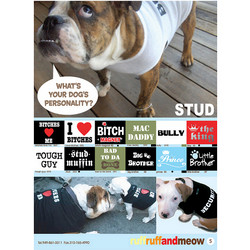 Doggie Sweatshirt - Big Brother