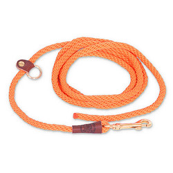 EZ Trainer/Leash - Large 1/2"