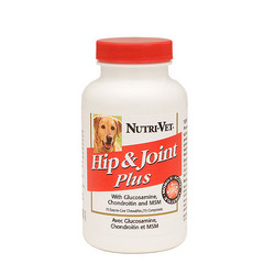 Hip & Joint Plus Chewable