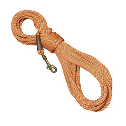 Trainer Check Cord