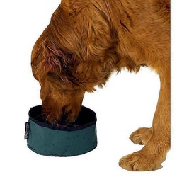 Collapsible Travel Bowl