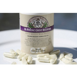 Hi-Potency Joint Recovery for Cats (90 Count)