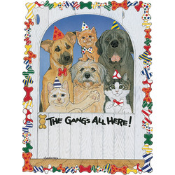 Dog and Cat-Gang's All Here