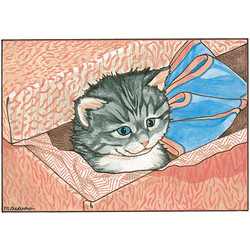 Cats-Surprise Package