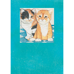 Cats-Kitty Couple